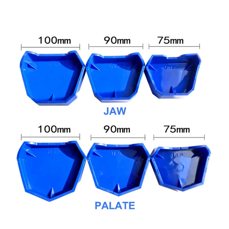 2/6 szt. Silikonowa baza model – Teeth Whitening Tray recenzja i cena